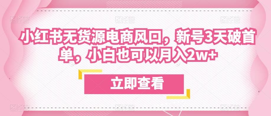 众狼电商余文小红书无货源电商风口，新号3天破首单，小白也可以月入2w+-久久资源库