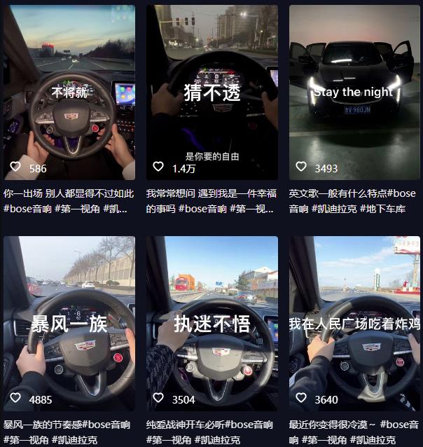 抖音开车视频项目，0基础操作，每天五分钟，月入1W+【揭秘】-久久资源库