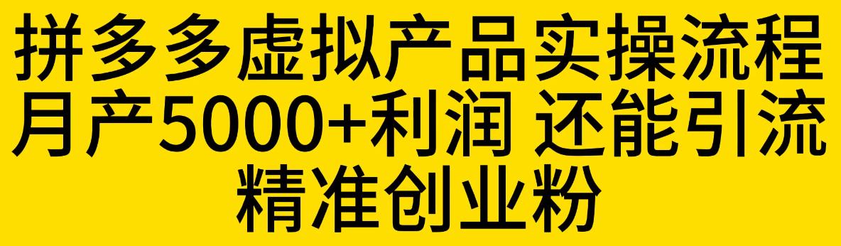 拼多多虚拟产品实操流程，月产5000+利润，还能引流精准创业粉【揭秘】-久久资源库