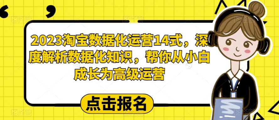 2023淘宝数据化运营14式，深度解析数据化知识，帮你从小白成长为高级运营-久久资源库