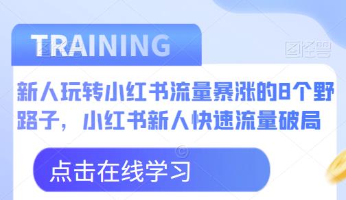 新人玩转小红书流量暴涨的8个野路子，小红书新人快速流量破局-久久资源库