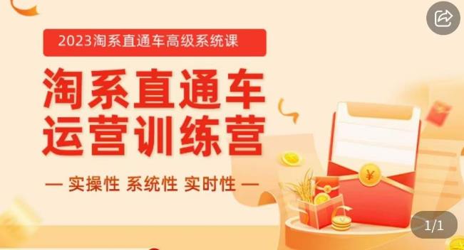冠东·2023淘系直通车高级系统课，​实操性，系统性，实时性，直通车完整体系教学-久久资源库