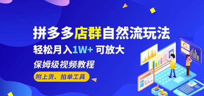 拼多多店群自然流玩法，轻松月入1W+保姆级视频教程（附上货、拍单工具）-久久资源库