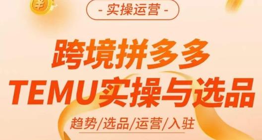 伍跃·跨境拼多多TEMU实操与选品，​趋势/选品/运营/入住（27节完整）-久久资源库