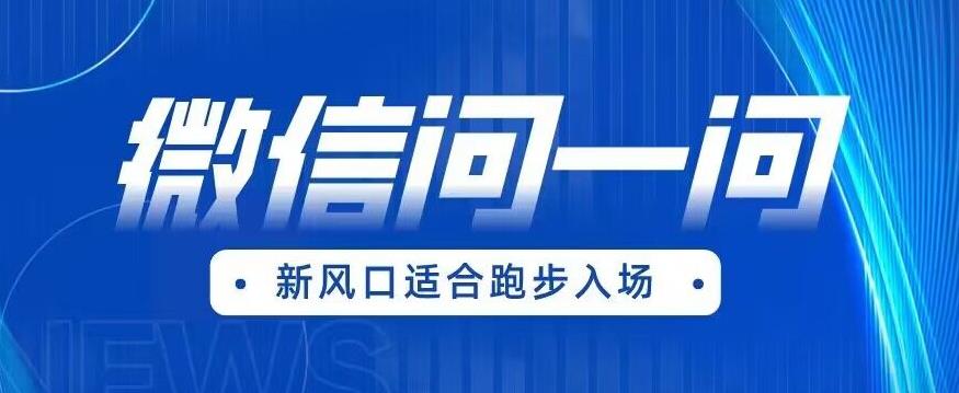 全网首发微信问一问新风口变现项目（价值1999元）【揭秘】-久久资源库