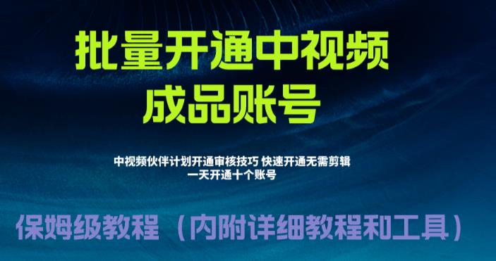 外面收费1980的暴力开通中视频计划教程，内附详细的快速通过中视频伙伴计划的办法-久久资源库