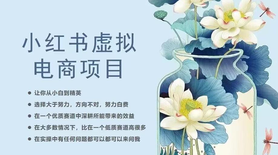 小红书虚拟电商从0到1，让你从小白到精英（20节实操课程）-久久资源库