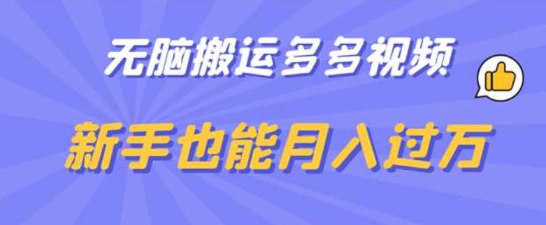 无脑搬运多多视频，新手也能月入过万【揭秘】-久久资源库