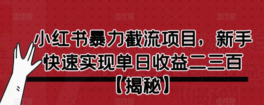 小红书暴力截流项目，新手快速实现单日收益二三百【仅揭秘】-久久资源库