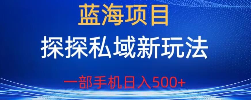 蓝海项目，探探私域新玩法，一部手机日入500+很轻松【揭秘】-久久资源库