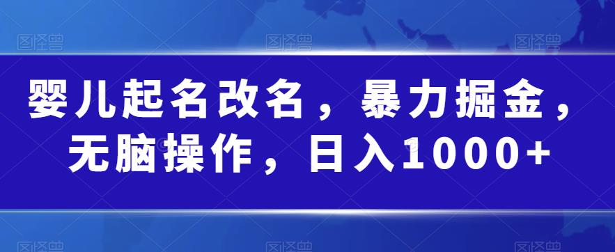 婴儿起名改名，暴力掘金，无脑操作，日入1000+【揭秘】-久久资源库