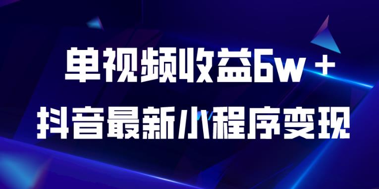 抖音最新小程序变现项目，单视频收益6w＋，小白可做【揭秘】-久久资源库