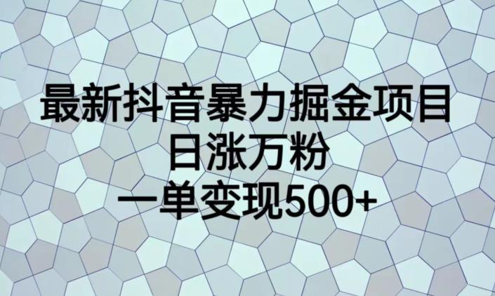 最新抖音暴力掘金项目，日涨万粉，一单变现500+【揭秘】-久久资源库