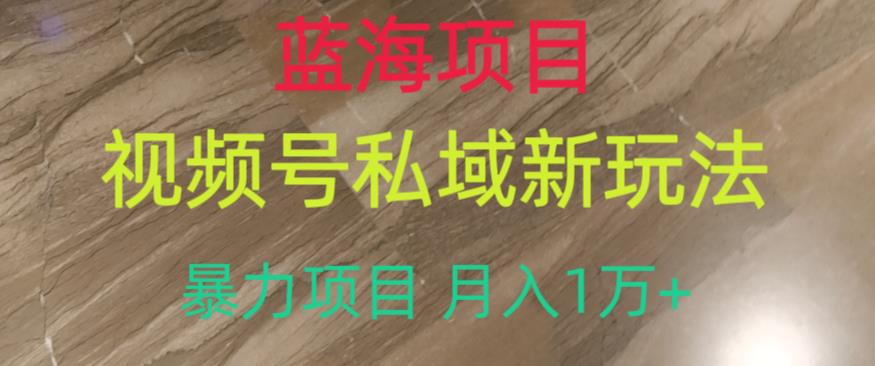 蓝海项目，视频号私域新玩法，暴力项目月入1万+【揭秘】-久久资源库