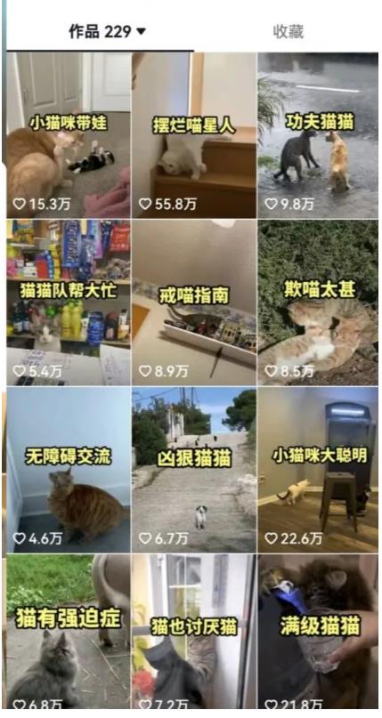 拆解：抖音盘点类中视频变现副业项目，视频版一条龙大解析分享给你-久久资源库