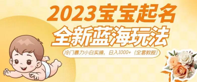 2023宝宝起名全新蓝海玩法，冷门暴力小白实操，日入1000+（全套教程）【揭秘】-久久资源库