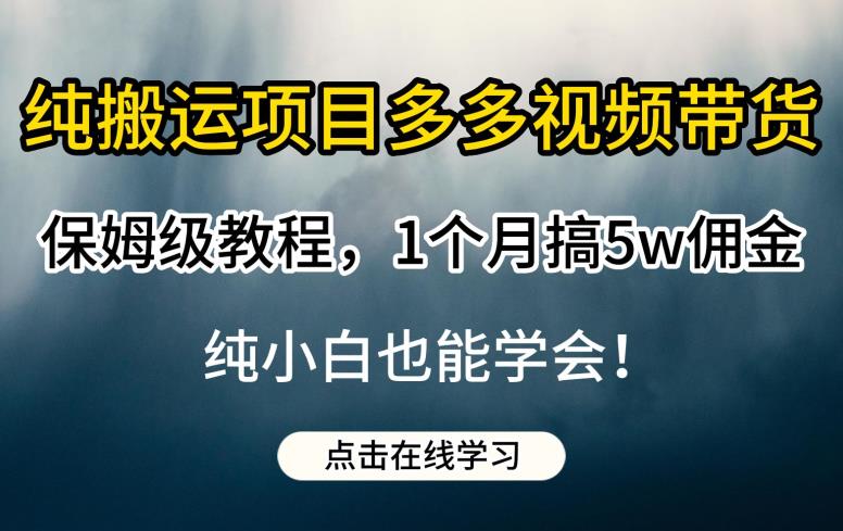 纯搬运项目多多视频带货保姆级教程，1个月搞5w佣金，纯小白也能学会【揭秘】-久久资源库