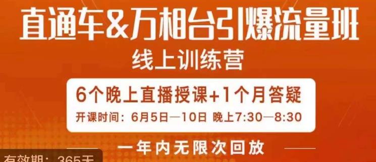 直通车&万相台引爆流量班，6天打通你开直通车·万相台的任督二脉-久久资源库