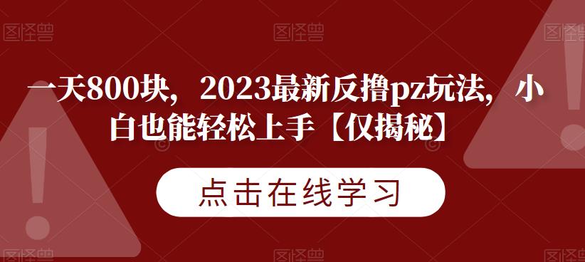 一天800块，2023最新反撸pz玩法，小白也能轻松上手【仅揭秘】-久久资源库