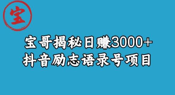 宝哥揭秘日赚3000+抖音励志语录号短视频变现项目-久久资源库