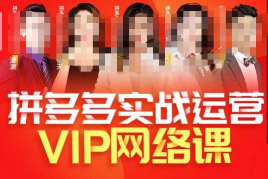 推易拼多多VIP全套直播课程，拼多多店铺实操玩法+实战玩法选款内功+直通车高阶等-久久资源库