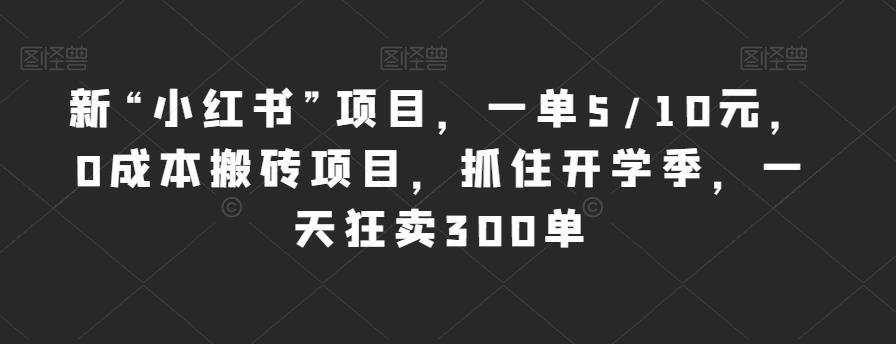 新“小红书”项目，一单5/10元，0成本搬砖项目，抓住开学季，一天狂卖300单【揭秘】-久久资源库