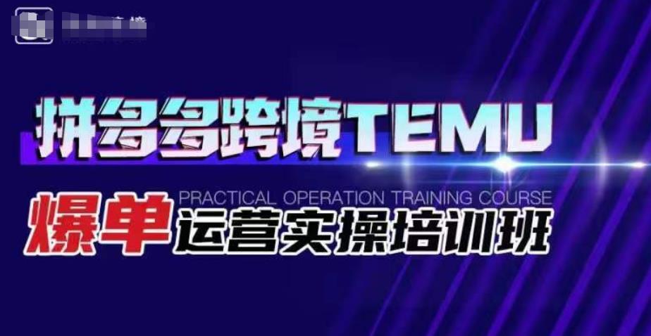 拼多多跨境TEMU爆单运营实操培训班，海外拼多多的选品、运营、爆单-久久资源库