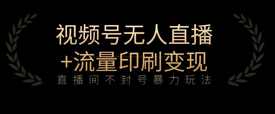全网首发视频号不封号无人直播暴利玩法+流量印刷机变现，日入1000+【揭秘】-久久资源库