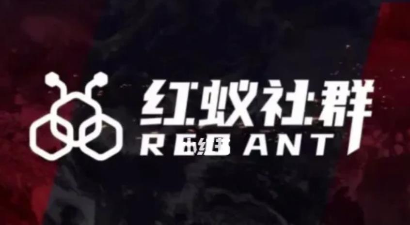 社群运营：红蚁社群【48节落地系统课程+2000人高端社群】-久久资源库