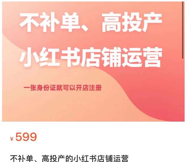 不补单、高投产的小红书店铺运营，一张身份证就可以开店注册-久久资源库
