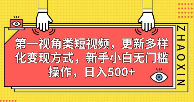 第一视角类短视频，更新多样化变现方式，新手小白无门槛操作，日入500+【揭秘】-久久资源库
