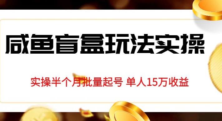独家首发咸鱼盲盒玩法实操，半个月批量起号单人15万收益【揭秘】-久久资源库
