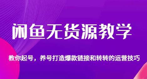 闲鱼无货源教学，教你起号，养号打造爆款链接以及转转的运营技巧-久久资源库
