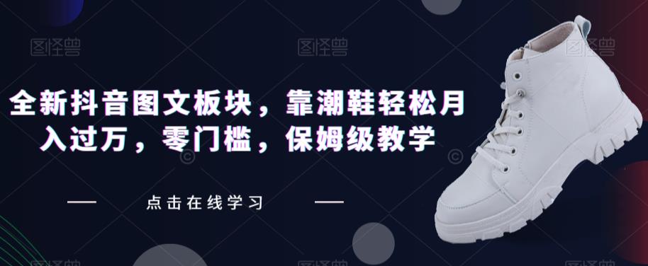 全新抖音图文板块，靠潮鞋轻松月入过万，零门槛，保姆级教学【揭秘】-久久资源库