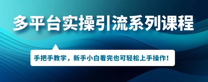 多平台引流实操系列课程，新手小白看完也可轻松上手进行引流操作-久久资源库