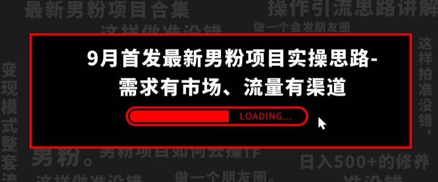 9月首发最新男粉项目实操思路-需求有市场，流量有渠道【揭秘】-久久资源库