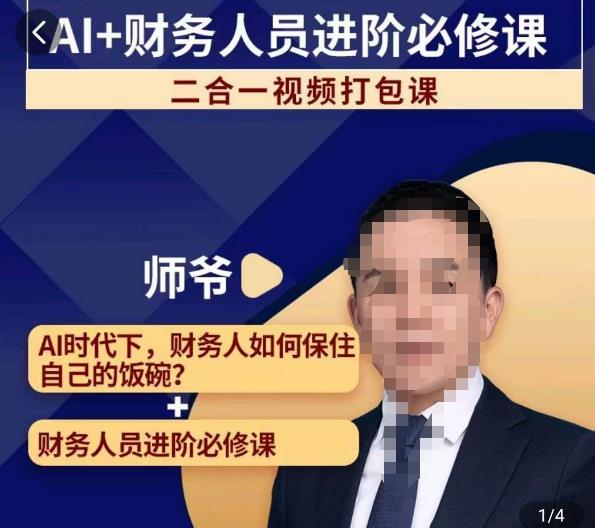 AI+财务人员进阶必修课二合一视频打包课，财务人员进阶必修课-久久资源库