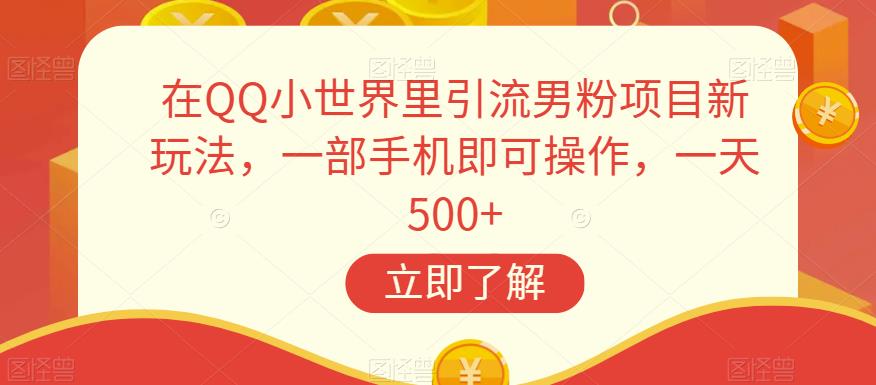 在QQ小世界里引流男粉项目新玩法，一部手机即可操作，一天500+【揭秘】-久久资源库