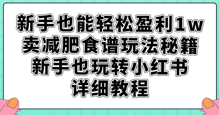 新手也能轻松盈利1w，卖减肥食谱玩法秘籍，新手也玩转小红书详细教程【揭秘】-久久资源库