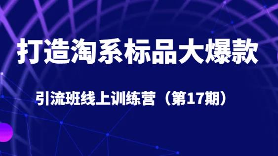 打造淘系标品大爆款引流班线上训练营（第17期）5天直播授课-久久资源库