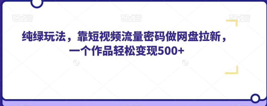 纯绿玩法，靠短视频流量密码做网盘拉新，一个作品轻松变现500+【揭秘】-久久资源库