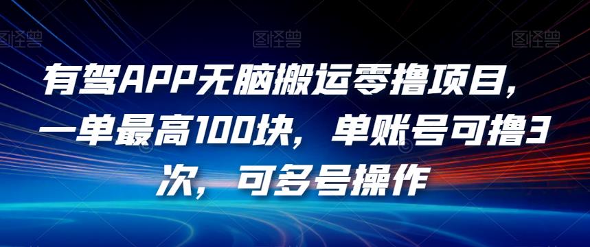 有驾APP无脑搬运零撸项目，一单最高100块，单账号可撸3次，可多号操作【揭秘】-久久资源库