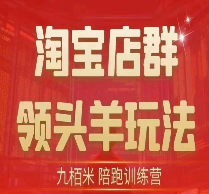 九栢米-淘宝店群领头羊玩法，教你整个淘宝店群领头羊玩法以及精细化/终极蓝海/尾销等内容-久久资源库