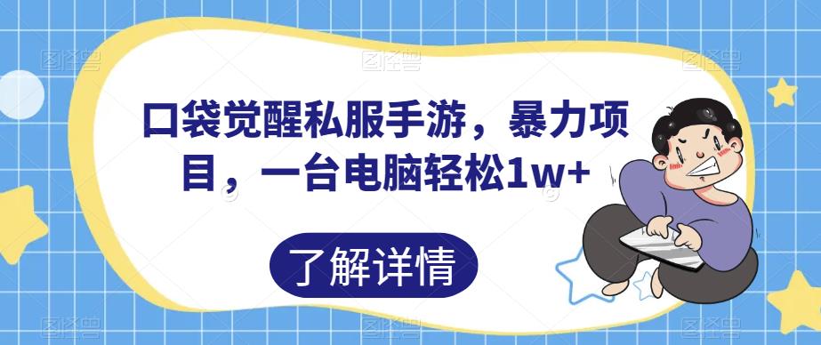 口袋觉醒私服手游，暴力项目，一台电脑轻松1w+【揭秘】-久久资源库