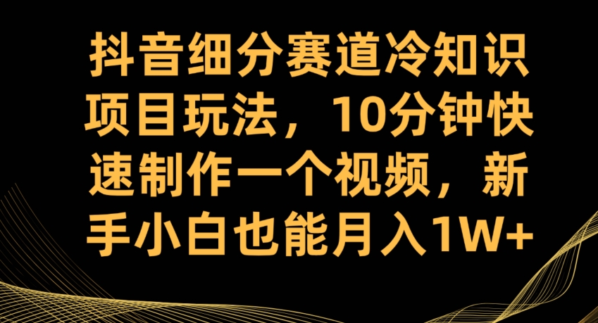 抖音细分赛道冷知识项目玩法，10分钟快速制作一个视频，新手小白也能月入1W+【揭秘】-久久资源库