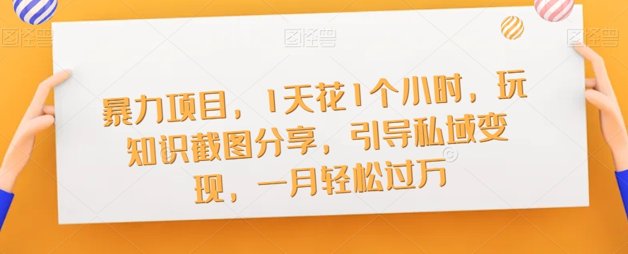 暴力项目，1天花1个小时，玩知识截图分享，引导私域变现，一月轻松过万【截图】-久久资源库