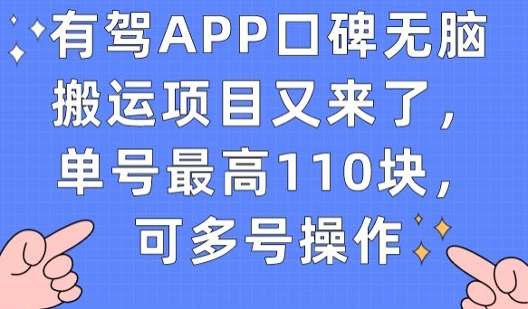 有驾APP口碑无脑搬运项目又来了，单号最高110块，可多号操作-久久资源库