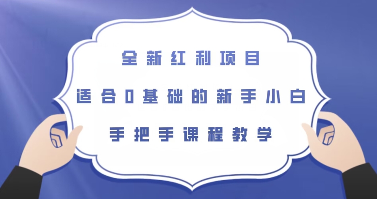 全新红利项目，适合0基础的新手小白，手把手课程教学【揭秘】-久久资源库