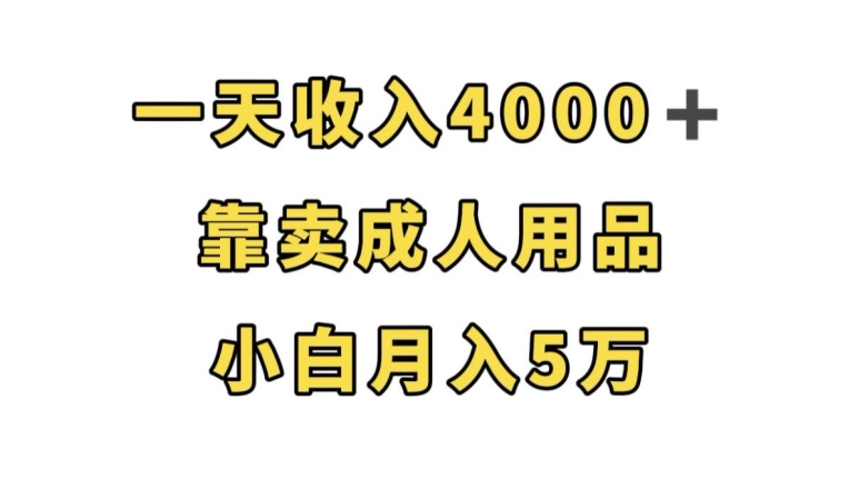 一天收入4000+，靠卖成人用品，小白轻松月入5万【揭秘】-久久资源库