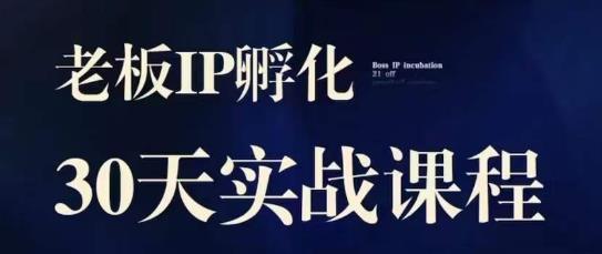 诸葛·2023老板IP实战课，实体同城引流获客，IP孵化必听-久久资源库